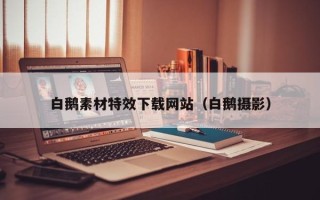 内蒙古白鹅素材特效下载网站（白鹅摄影）